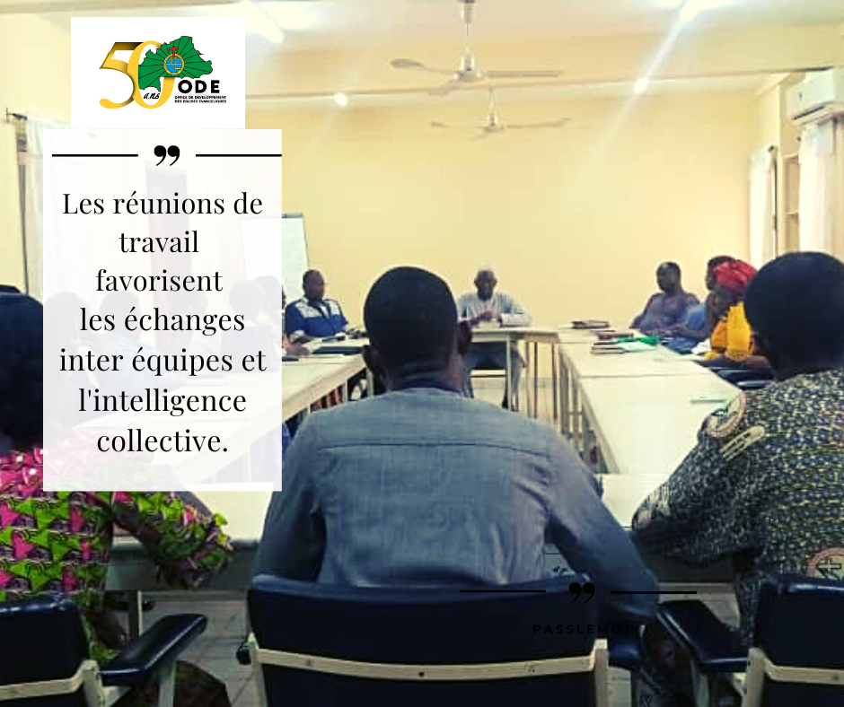 TENUE DES REUNIONS ET PERFORMANCE DES ORGANISATIONS