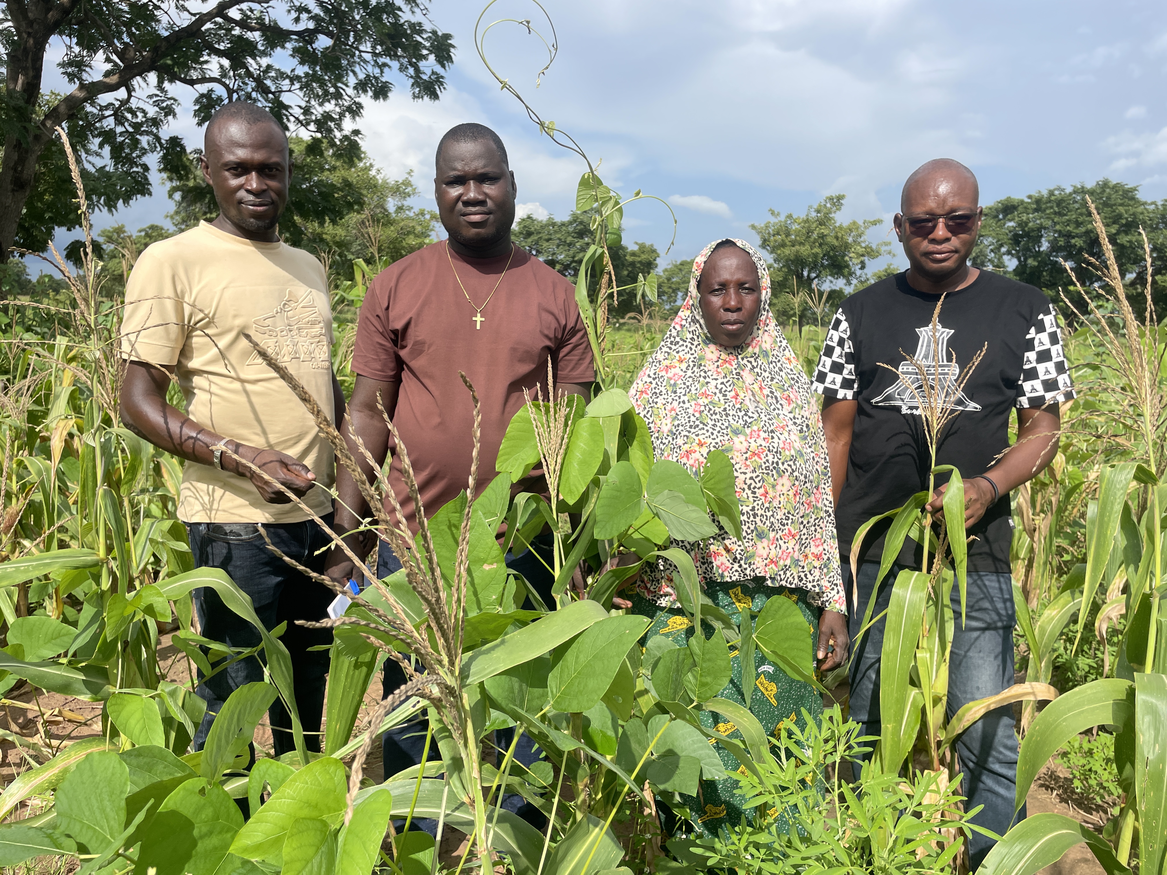 Projet FairMaize : le consortium à l’écoute des producteurs